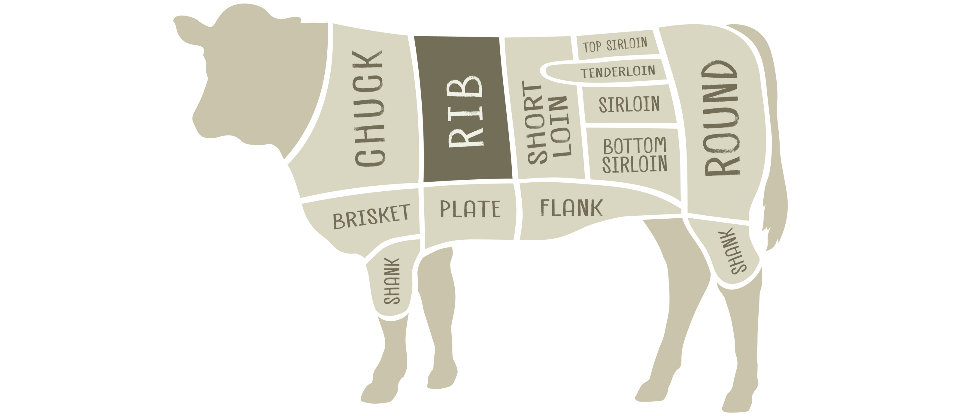 Rib Primal From MidAmerican Beef Cut List